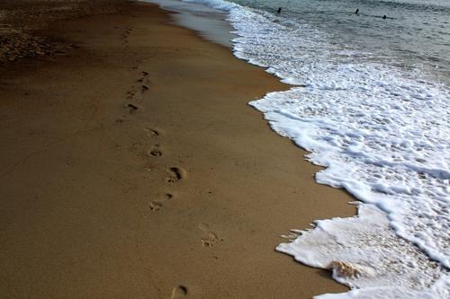 Tracks