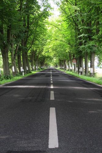 lined Road