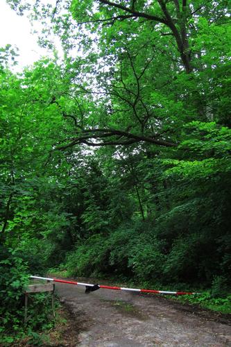 Barrier