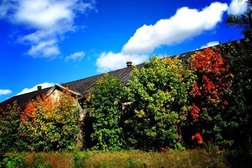 Colors of Autumn
