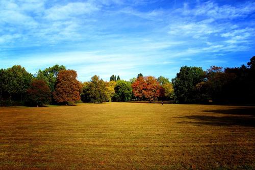 Solitude