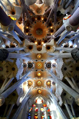 Nave