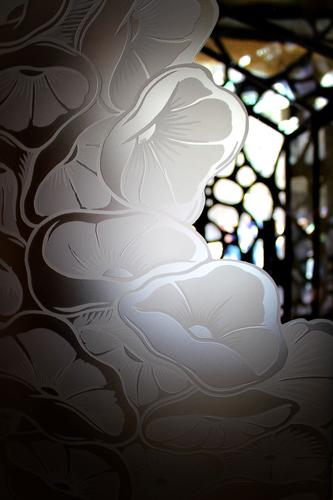Satin–Coated