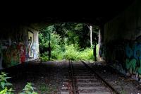 Tracks and Graff