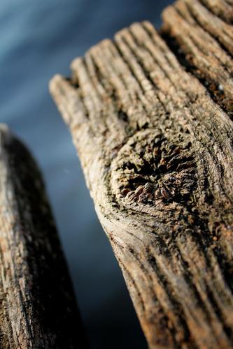 Knothole