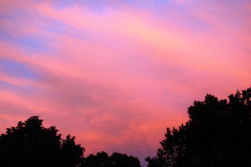 Sunset over Trees
