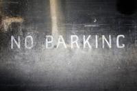 No Barking