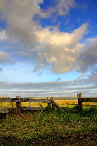 Broken Fence