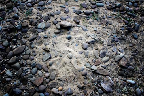 Gravel and Sand