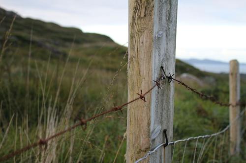 Barbed