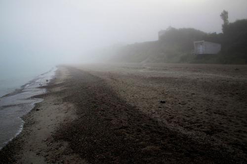 Foggy Beach