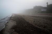 Foggy Beach