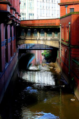 Medlock