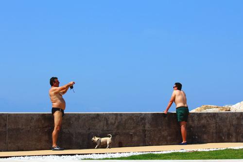 Holiday Pic