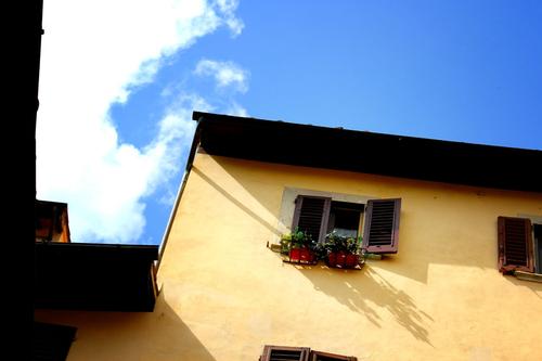 Vista