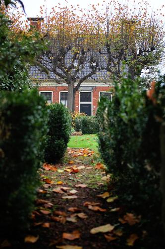 Hedgeview