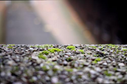 Small Worlds