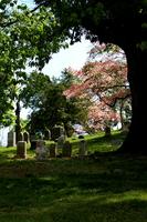 Green–Wood Cemetery