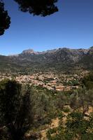 Soller