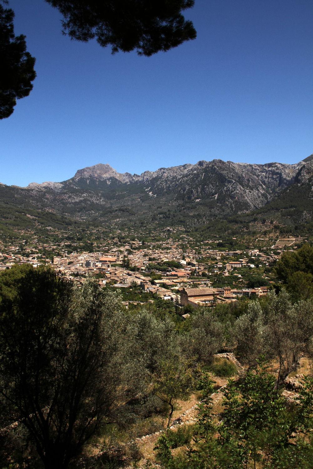 Soller