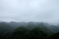 Mountaintop Triangles