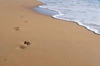 Footprints in the Sand