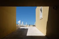 Umbrellas in the wind