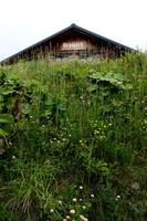 Grasjoch