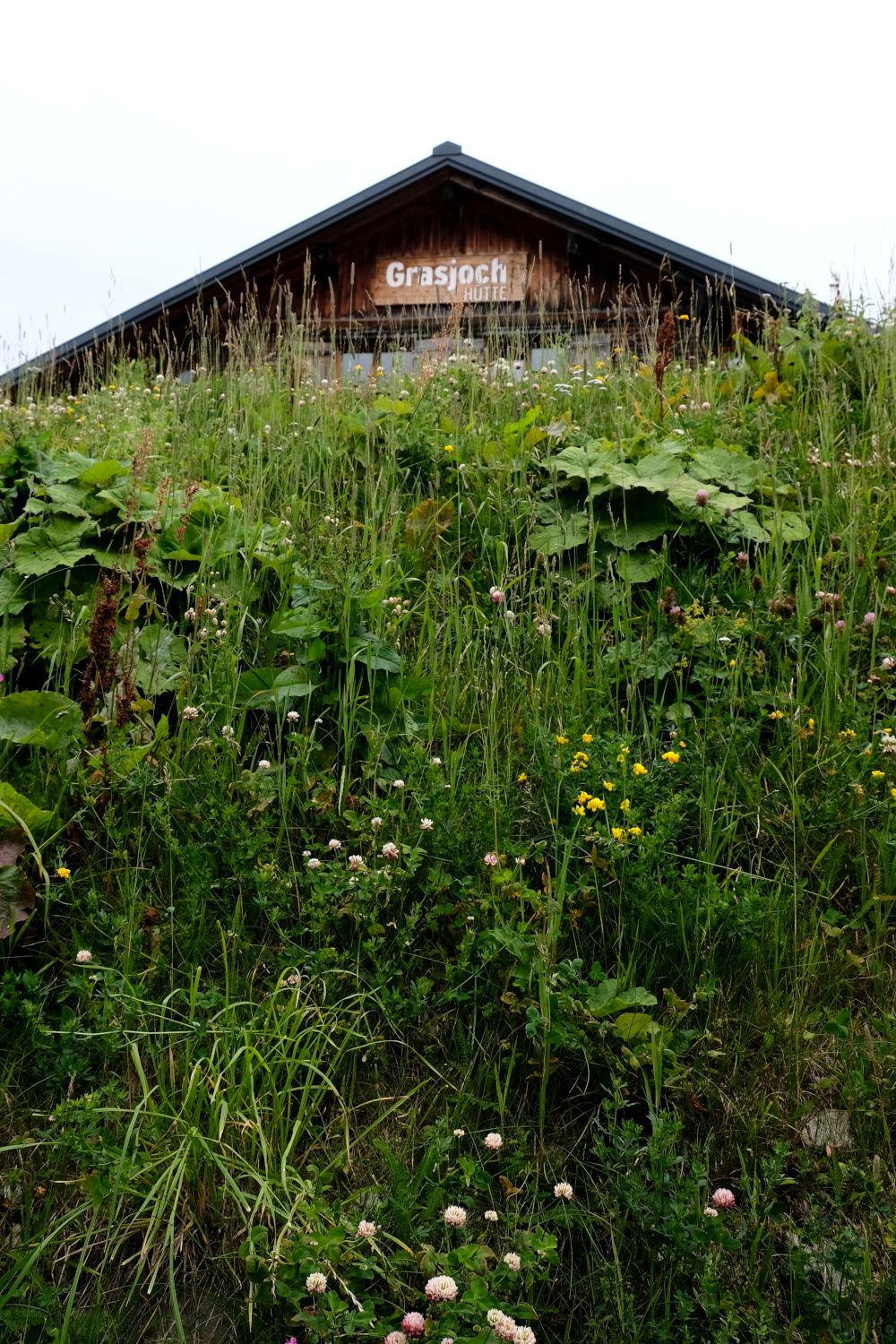 Grasjoch