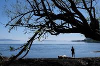 Fishing in the Shadows