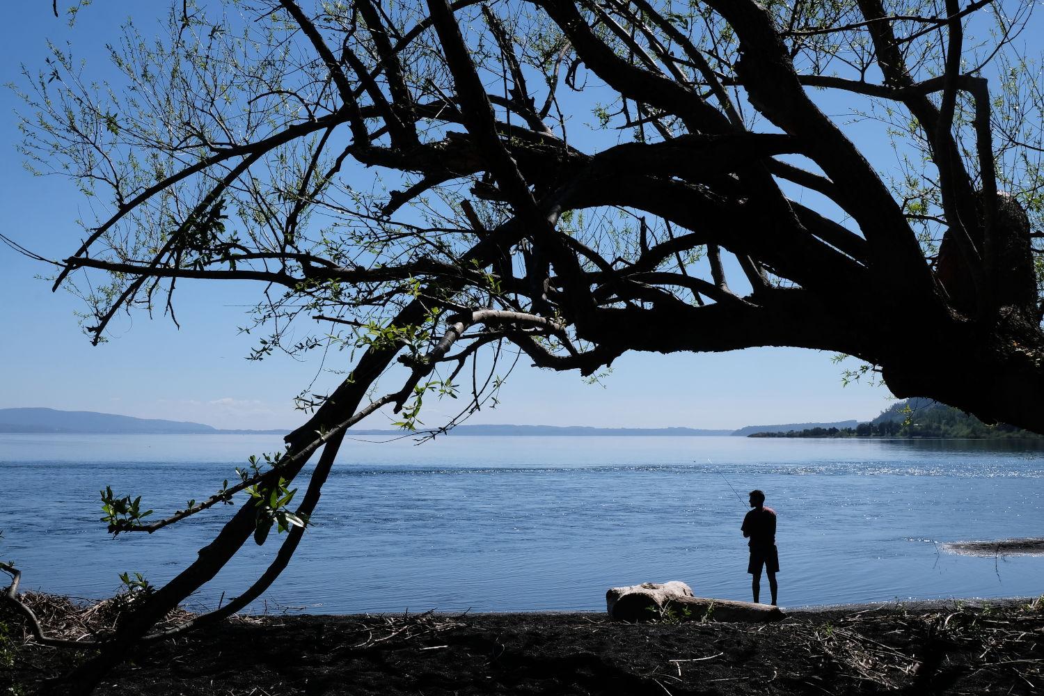 Fishing in the Shadows