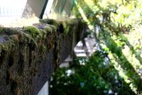 Moss Architecture