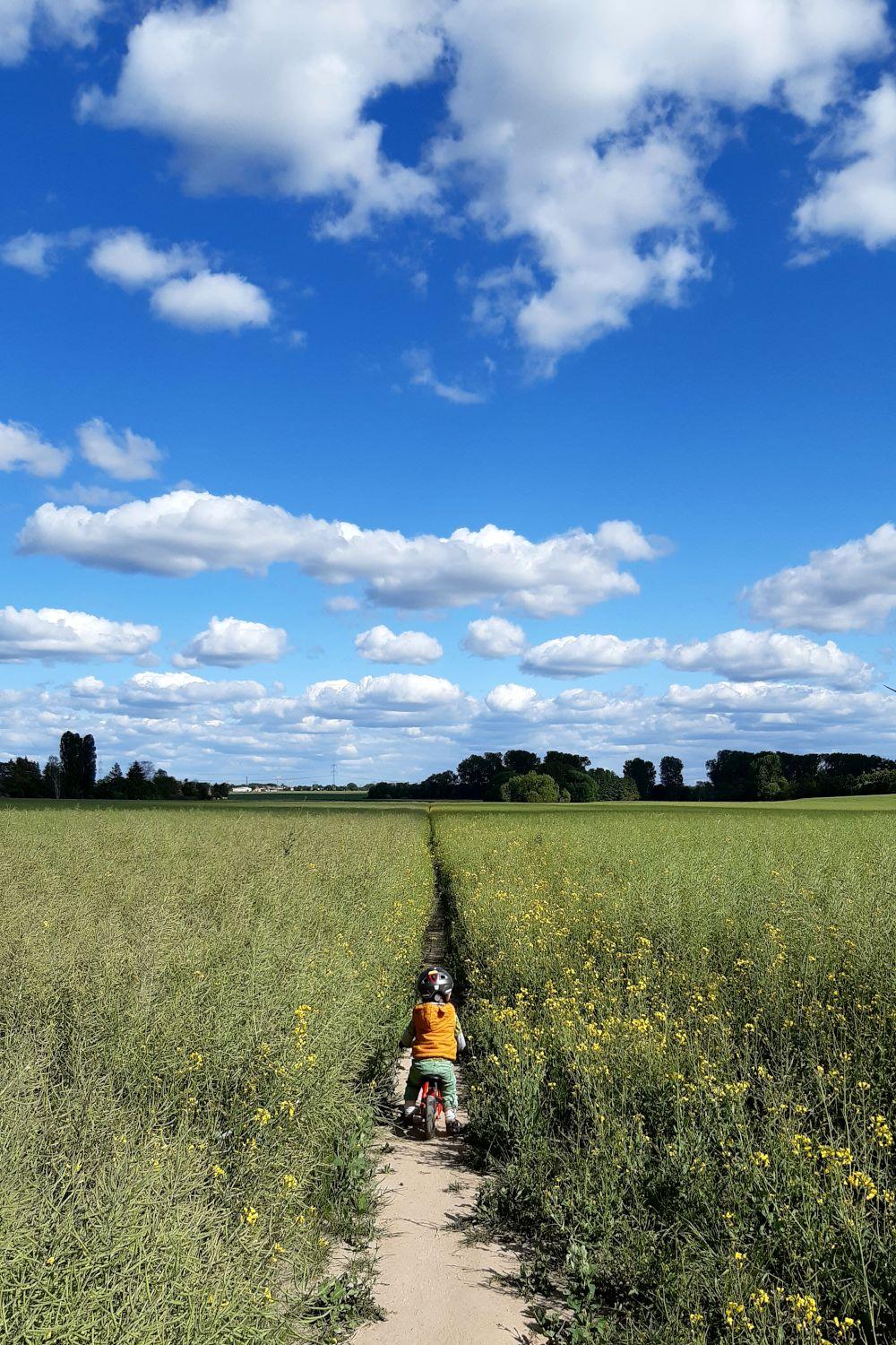a long way ahead