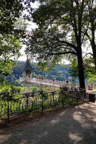 Art Nouveau Elevator