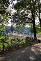 Art Nouveau Elevator