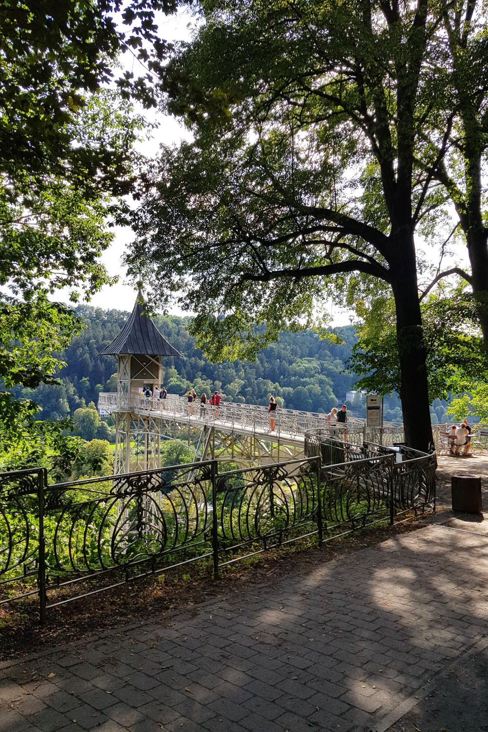 Art Nouveau Elevator