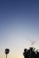 Dawn