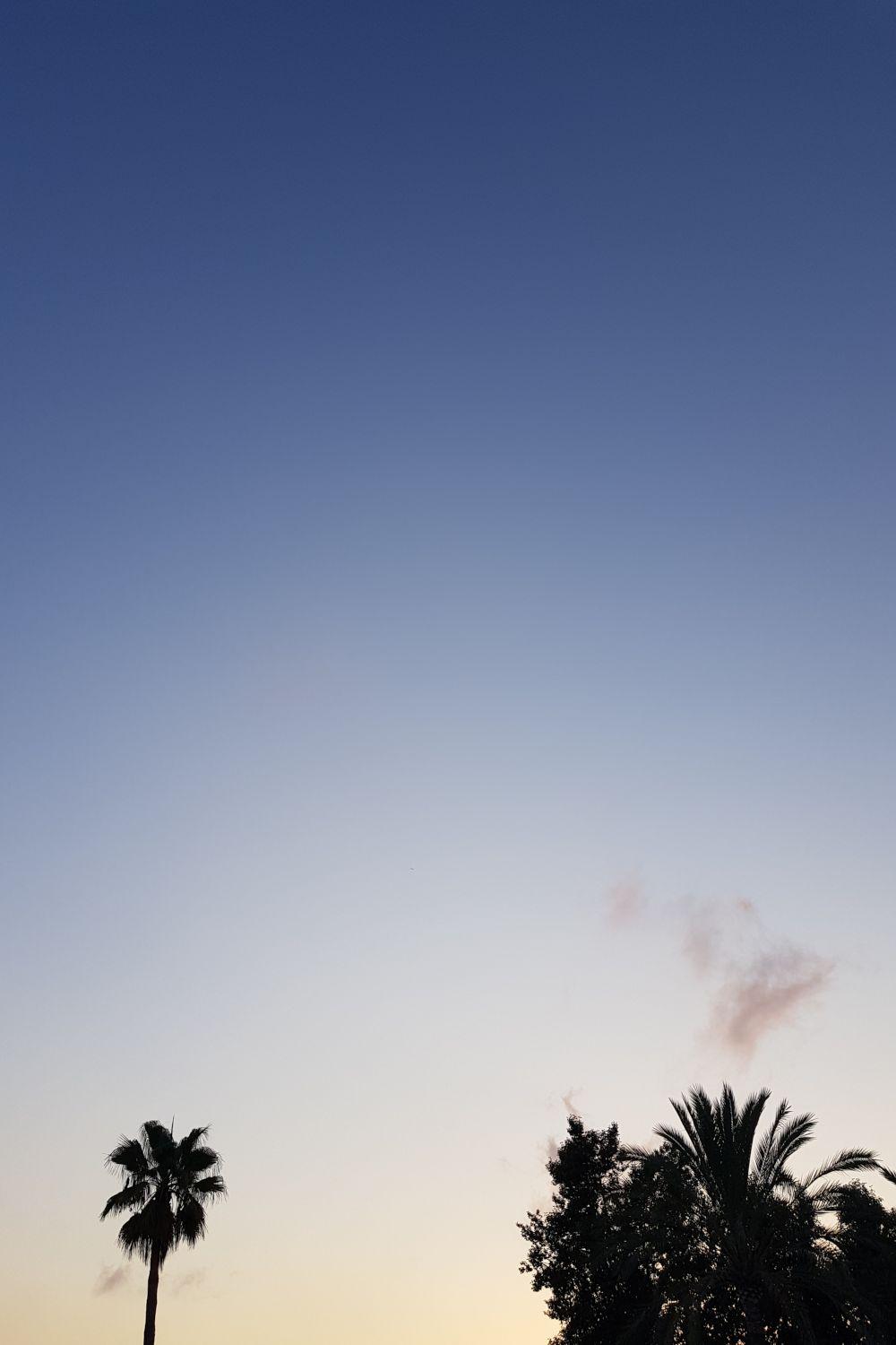 Dawn